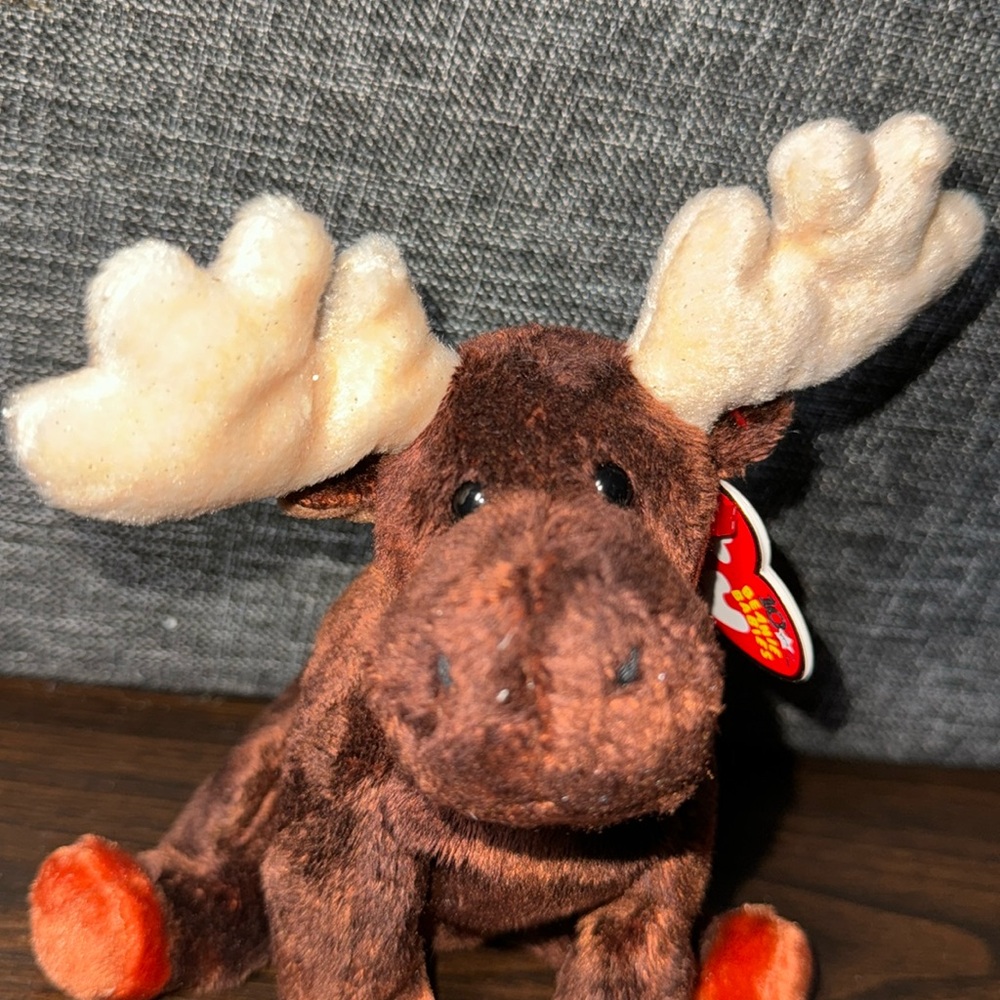 Ty beanie baby “Zeus” the moose